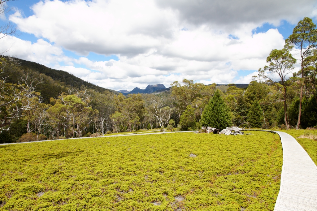 20 - Cradle Montain NP (19).jpg